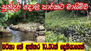 සුන්දර දියපහරකට මායිම්ව වටිනා අක්කර 10.50ක් දෙනියායෙන් | Tea Land For Sale in Deniyaya | properties