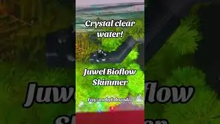Juwel Bioflow Filter Skimmer. New product coming soon! No electricity required #aquarium
