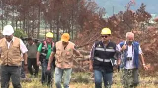 Spot Avannce del Control del Gorgojo ICF Miambiente