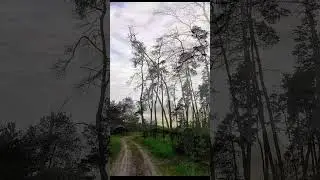 Ukrainean Nature #shotrs #travel #adventure @ItIsMyLife71