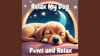 Doggie Daydreams
