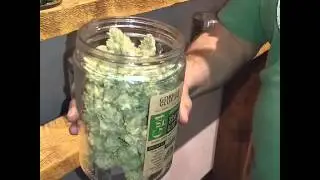 Sticky Gorilla Glue #4 from Green Bodhi