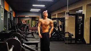 Push Day Back In The Gym | (I'm going crazy)