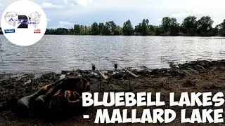 Day Ticket Carp Fishing - 48 Hours On Bluebell Lakes - Mallard Lake