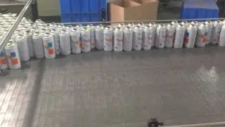 5 Aerosol Can Palletizer