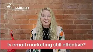 Is email marketing still effective? | 21 Questions | Flamingo Marketing Strategies Ltd