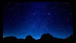 Robert Logan: &lsquo;Metazoa&rsquo; [official music video]