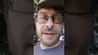Bee Friendly Lawn Care Test With Rukun