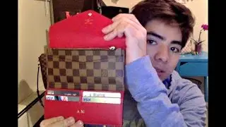 Louis Vuitton Josephine Wallet Damier Ebene