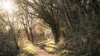 Wandering the River Medway with a Camera - Fujifilm X-T4 + Sigma 17-40 f1.8