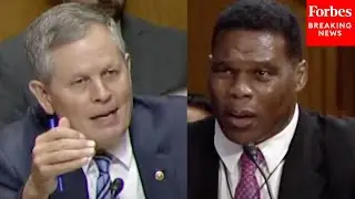 Daines To Herschel Walker&mdash;Trump's Bahamas Amb Nom: I'm Confident You'll Build A 'Championship Team'