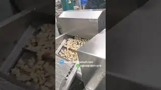 Puff Puff Fryer Machine|Continuous Frying Machine Price #shorts