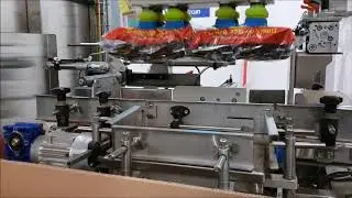 RSC Case Packer for multi-pack coffee bags