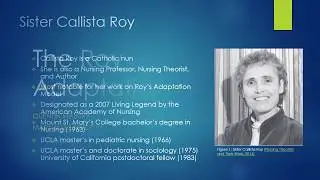 The Roy Adaptation Model