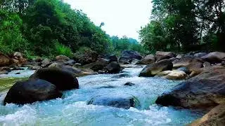 Tranquil River Sounds for Meditation and Focus &ndash; 12H Flow