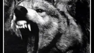 E Nomine - Das Tier in mir (with lyrics)
