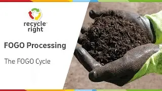 How your FOGO is processed