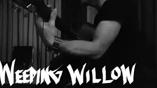 Weeping Willow (S&eacute;bastien Schuller Cover)