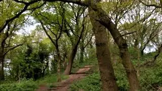 Horsenden Hill - A day out