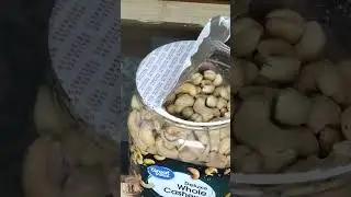 DELUXE WHOLE CASHEW NUTS #shorts #cashews