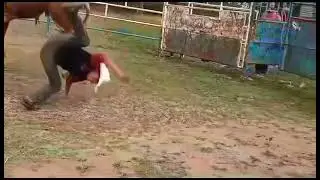 Jaripeo a pierna suelta a puro valor mexicano