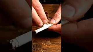 all about timelaps , Chocolate , all type, all tag Handrolled cigarettes in 202601042333 ir9z8