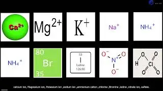 The Wet Chemistry Instruments