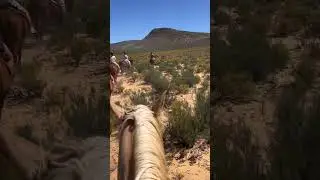 🇿🇦 Horseback riding in South Africa Aquila Wild Game Resort. Incredible to br so close #travel