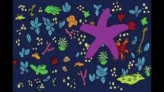 Жизнь всех цветов и видов (Пейн, 1966)