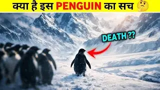 2007 का Viral Penguin Video: Suicide या Survival? | Antarctica Documentary Truth in Hindi 