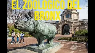 Mi experiencia en el zoológico del bronx, tour completo en 11 minutos