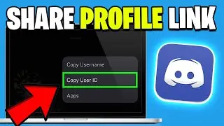 How To Share Discord Profile Link (Copy & Share) - Updated Guide