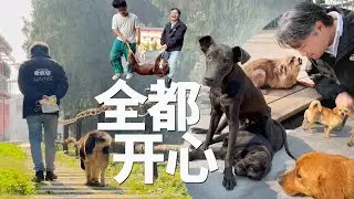 其实没办法全部都开心