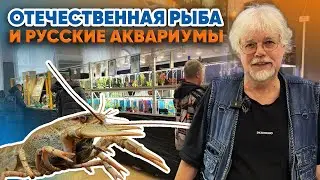 Аквариумные истории из ЭКЗОМЕНЮ (09.01.2026). Отечественная рыба и Русские Аквариумы (1 часть).
