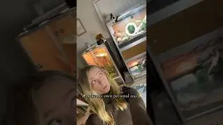 What I&rsquo;m Gonna Do With My Zoology Degree | Kam&rsquo;s Reptiles