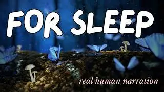 Bedtime Stories Compilation: Wholesome sleep stories for adults | Ambient sounds 🍄