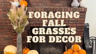 Foraging fall grasses for your FREE fall decor