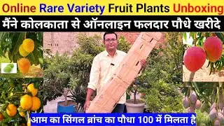Online Orignal Rare Variety Fuit Plants Unboxing | कोलकाता से  बहुत सस्ते रेट में पौधे खरीदे
