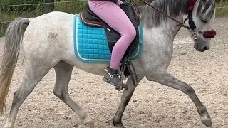 VLOG/I huset, træner heste mm🏡🐎🍋