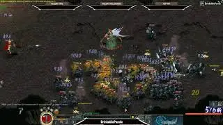 Surprise DB Find Conquer Online 2.0 Classic Private Server Conquer Origins Gameplay Drinkable Panda