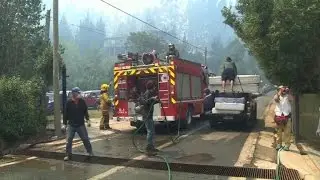 Chile wildfires kill seven people and displace thousands