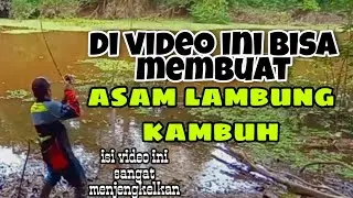 kumpulan video video strike Toman dan goyang ketampanan