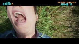 PETER RABBIT 2: THE RUNAWAY: 
