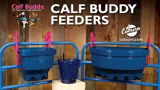 Calf Buddy Feeders and Nipples