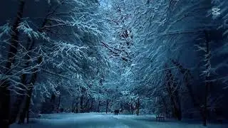 timeless works of classical music +2 hr compilation 080905 080256