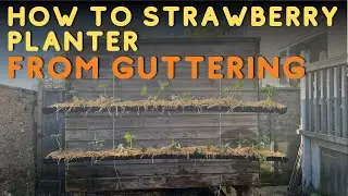 Vertical Gardening Guttering Strawberry Planter