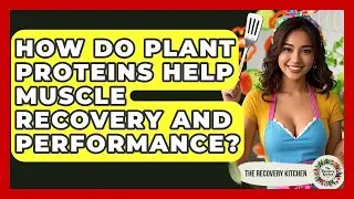 How Do Plant Proteins Help Muscle Recovery And Performance? - The Recovery Kitchen