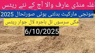 Munji rate today 2025| gandam price 2025| makki till Sarso| ghalla Mandi rate today