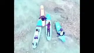 Japanese Family Surfing in Waikiki | Hawaii Surfing Academy with FREE Drone Video!