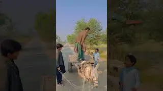 1980 vs 2023 Main Vote Mangna Ka Style 🤣